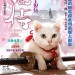 海報及劇照