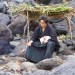 海報及劇照