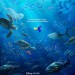 海底奇兵2 (2D 粵語版)電影圖片 - poster2_1458489137.jpg