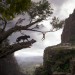 魔幻森林 (2D版)電影圖片 - The_Jungle_Book_020_mj_0060_comp_v0935_right87223_1460644484.jpg