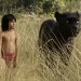 魔幻森林 (2D版)電影圖片 - The_Jungle_Book_022_tg_0020_comp_v0455_right1095_1460644484.jpg