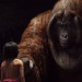 魔幻森林 (2D版)電影圖片 - The_Jungle_Book_059_CT_0680_comp_v0312_RIGHT86424_v2_1460644486.jpg