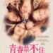 海報及劇照