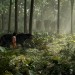 魔幻森林 (2D版)電影圖片 - the_jungle_book_021_mj_0110_comp_v0442_right00000_v02_1460644484.jpg