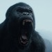泰山傳奇：森林爭霸 (2D版) (The Legend of Tarzan)電影圖片4