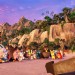 憤怒鳥大電影 (2D 英語版)電影圖片 - angry_birds_intl_5_arv495_114267_1034_mkt_still_rgb_1462428848.jpg