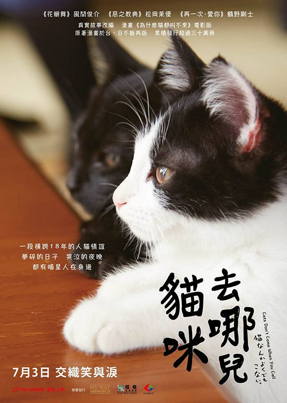 貓咪去哪兒電影圖片 - cats_dont_come_when_you_call_poster_1466560631.jpg