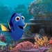 海底奇兵2 (2D 粵語版)電影圖片 - Dory_1465923896.jpg