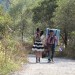 我的新野蠻女友 (My New Sassy Girl)電影圖片2