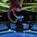 海底奇兵2 (2D 粵語版)電影圖片 - finding_dory_k270_122d_pub_horzpub16310_RGB_1465923899.jpg
