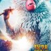捉妖敢死隊電影圖片 - Kubo_monkeyteaserposterchi_03_1467992704.jpg
