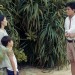 同流合烏 (Utopians)電影圖片5