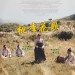 桃李花歌 (The Sound of a Flower)電影圖片1