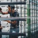 海報及劇照