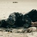 十個拆彈的少年電影圖片 - LOM_Still_5_1481959180.jpg