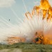 十個拆彈的少年 (Land of Mine)電影圖片6