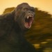 金剛：骷髏島 (2D版)電影圖片 - KONG-TRL1-87307-VFX_1487645062.jpg