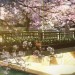 聲之形 (A Silent Voice: The Movie)電影圖片6