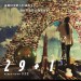 29+1 (29+1)電影圖片1
