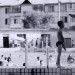 八月 (The Summer Is Gone)電影圖片6