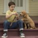 再見亦是狗朋友 (A Dog's Purpose)電影圖片2