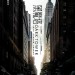海報及劇照