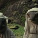 星球大戰：最後絕地武士 (2D版)電影圖片 - EP8-FF-003822_1512121553.jpg