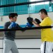 擂台物語 (The Ringside Story)電影圖片2