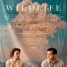 野性日記 (Wildlife)電影圖片1