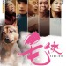 毛俠 (Paws Men)電影圖片1