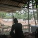 十年泰國 (Ten Years Thailand)電影圖片2