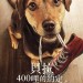海報及劇照