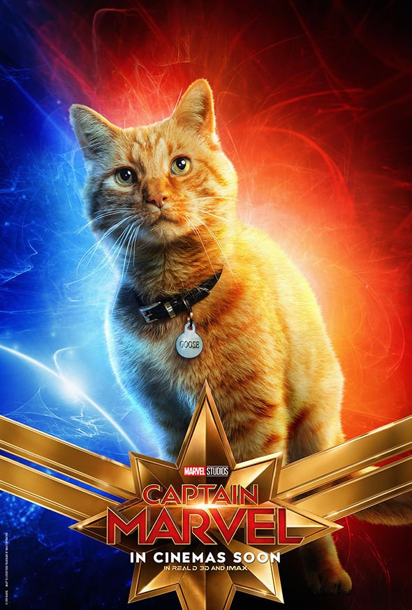 MARVEL隊長 (2D版)電影圖片 - 13_OW_CharSeries_1Sheet_Goose_1547698474.jpg