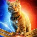 MARVEL隊長 (2D版)電影圖片 - 13_OW_CharSeries_1Sheet_Goose_1547698474.jpg