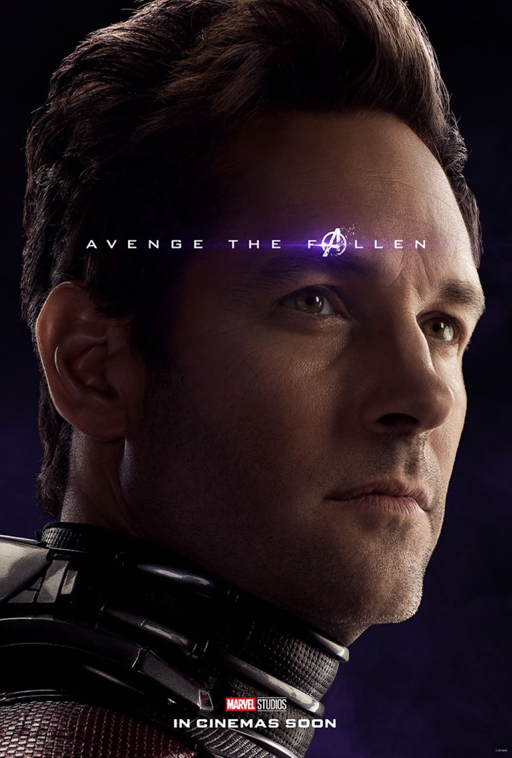 復仇者聯盟4：終局之戰 (2D版)電影圖片 - 01_MLOU2_AvengeHonorSeries_1Sht_Antman_1553671550.jpg