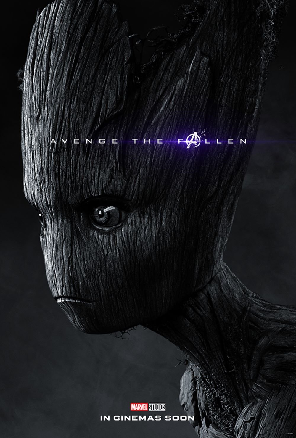 復仇者聯盟4：終局之戰 (2D版)電影圖片 - 29_MLOU2_AvengeHonorSeries_1Sht_Groot_1553671574.jpg