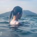 海報及劇照