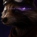 復仇者聯盟4：終局之戰 (2D版)電影圖片 - 32_MLOU2_AvengeHonorSeries_1Sht_Rocket_1553671576.jpg