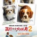 再見亦是狗朋友2 (A Dog's Journey)電影圖片1