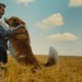 再見亦是狗朋友2 (A Dog's Journey)電影圖片6