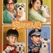 狗眼看人心 (Push and Shove)電影圖片1
