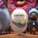 Pet Pet當家 2 (英語版)電影圖片 - PETS2_S1975_P0205TR-L-Compo_Mono_Render-T6_240R-s_1555078645.jpg