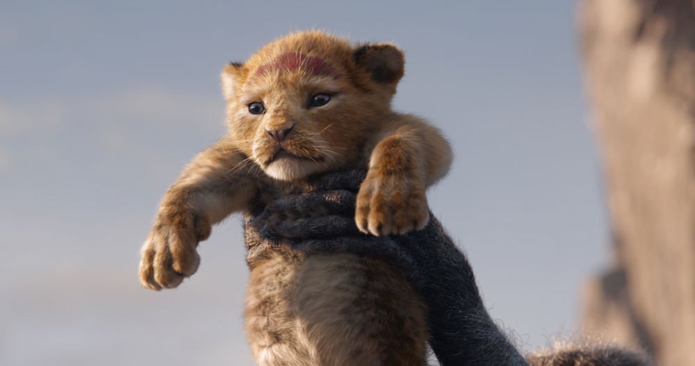 獅子王 (2D 英語版)電影圖片 - The-Lion-King_dt1_still_1_1559219420.jpg