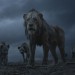 獅子王 (2D 粵語版)電影圖片 - TLK-ONLINE-USE_058_MD_0292_comp_v0234_REC709.1005_1559219420.jpg