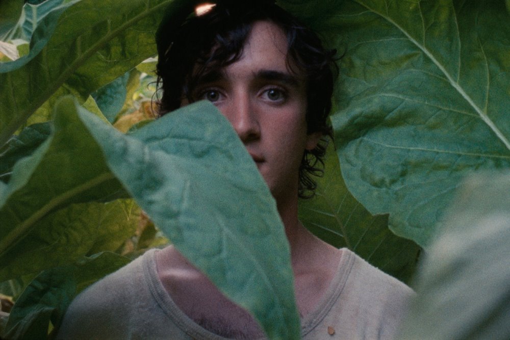 睡王子的快樂傳說電影圖片 - HappyAsLazzaro-Still1-actorAdrianoTardiolo_1561773345.jpg