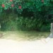 海獸之子電影圖片 - ChildrenoftheSeaStills282029_1560174122.jpg