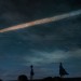 海獸之子電影圖片 - ChildrenoftheSeaStills28229_1560174120.jpg