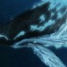 海獸之子電影圖片 - ChildrenoftheSeaStills282429_1560174124.jpg