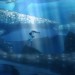 海獸之子電影圖片 - ChildrenoftheSeaStills28729_1560174124.jpg