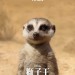 獅子王 (2D 粵語版)電影圖片 - FB_IMG_1559249756034_1559354170.jpg